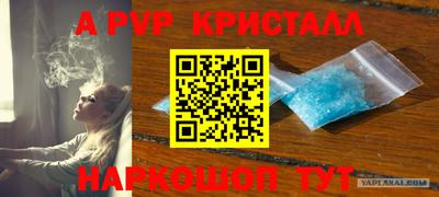 крисы Коммунар