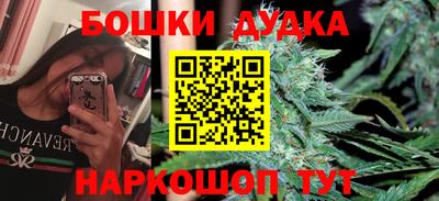 крисы Коммунар